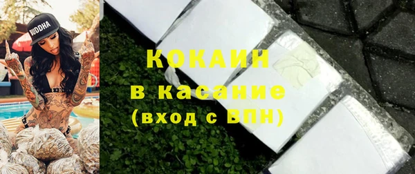 сатива Покачи