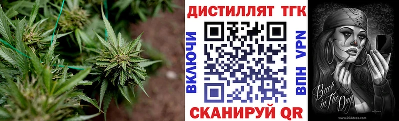 Дистиллят ТГК концентрат  Новомичуринск 