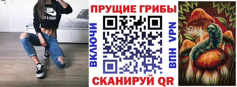 KRAKEN зеркало  купить закладку  Новомичуринск  Галлюциногенные грибы GOLDEN TEACHER 